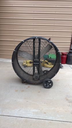 Fan