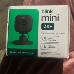 Blink Camera 
