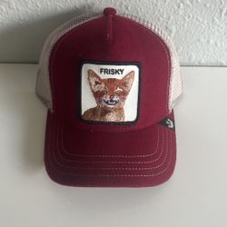 Frisky Goorin Bros ajustable hat 🧢