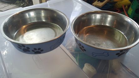 Dog dishes