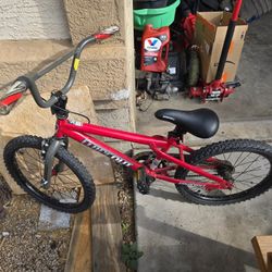 Kids Dynacraft 20" Bike 