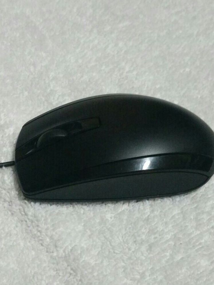 Hp office mouse