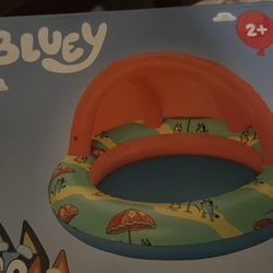 bluey shaded pool 