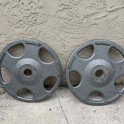 Pair Of 45lb Hampton Plates