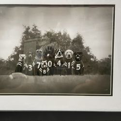 Framed Prints For Sale $20 Each
