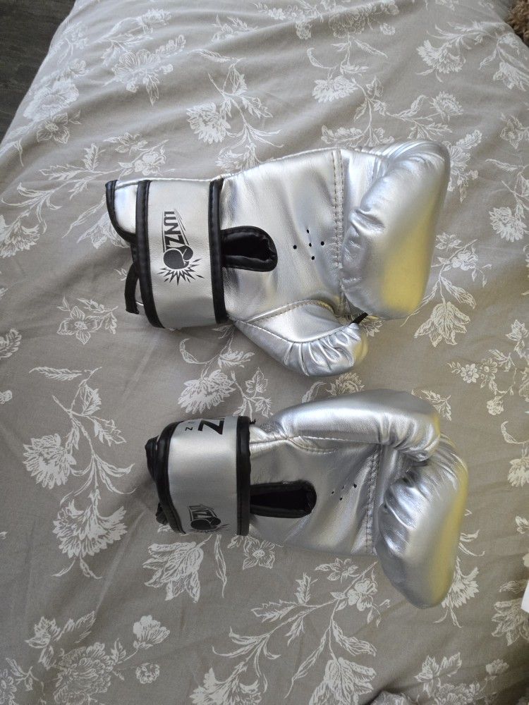 Luniquz Boxing Gloves for Kids Youth, 4 6 8 oz Punching Bag Gloves for Boys Girls Sparring, 6 OZ Sliver