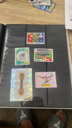 FIFA World Cup panini stickers