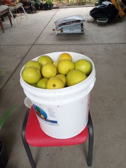 botes grande de limas dulces 