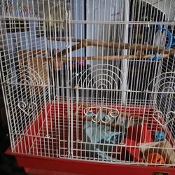 Bird Cage