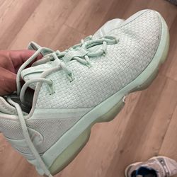 Size 9.5 Lebron Shoes