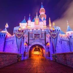Disneyland Tickets For 4/24 (Only 4/24)