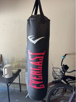 100 lbs Punching Bag