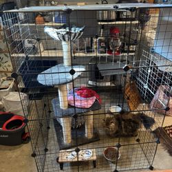 Cat Enclosure 