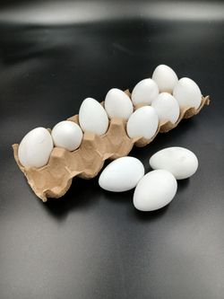 Carton of Fake Plastic Eggs