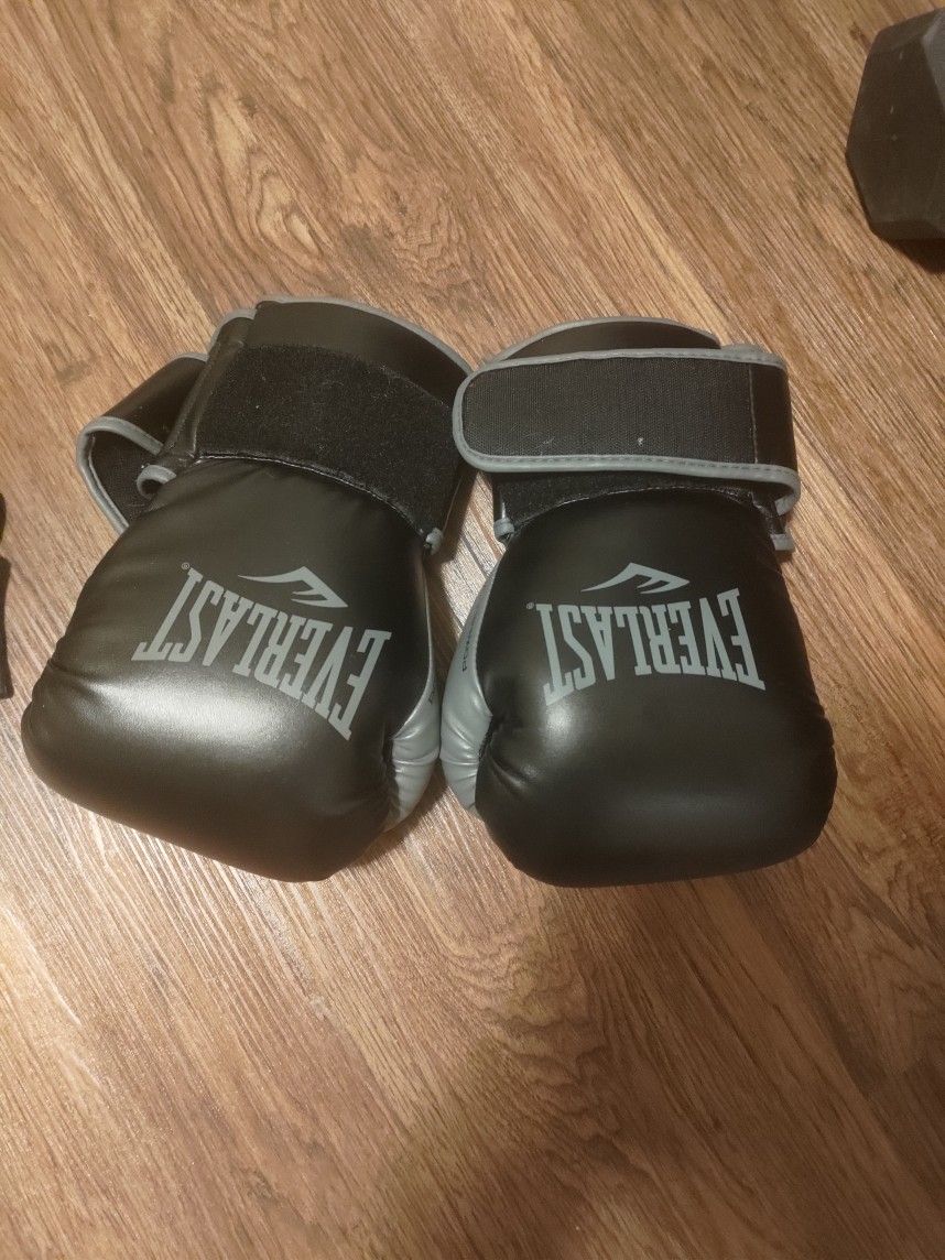Everlast 16oz Boxing Gloves