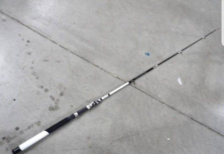 Fiberglass Fishing Pole Conventional Reel Combo with Durable P-Cork Rod Handle