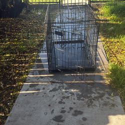 Medium Dog Crate
