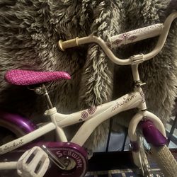 Schwinn girls bike.  Just a girl saving for a e-scooter,hoping to get it!
