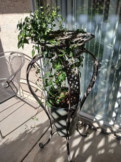 Tall Plant Stand