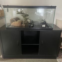 Terrarium With Stand