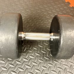 Single 50 pounds Dumbbell with Rubber Coat.