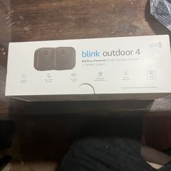 Blink Wireless Cameras 