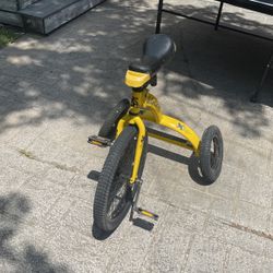Practice Unicycle 