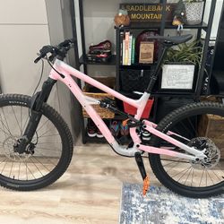 2024 Specialized Status 140 2 (S4) 