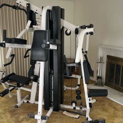 Body Solid Workout Machine 