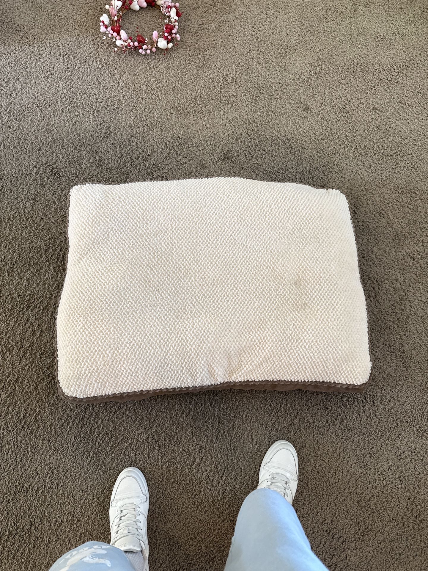 Kensington Kennel Club orthopedic Pet Bed