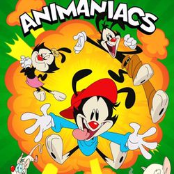 Animaniacs And Pinky And The Brain Complete Series On USB Flash Drive 