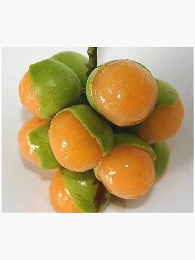 GUINEPS/ GUENEPA/ MAMONCILLO