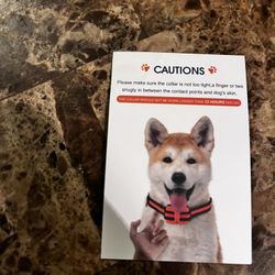 Remote Dog Training Collar