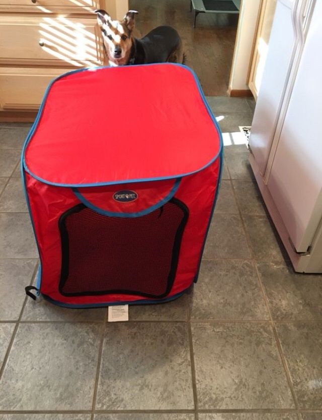 Pop-up Travel Dog Crate