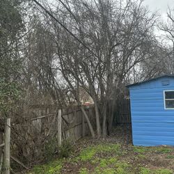 Trees And Fences  Jobs