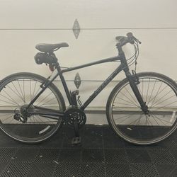 Giant Escape 2 Hybrid Bike