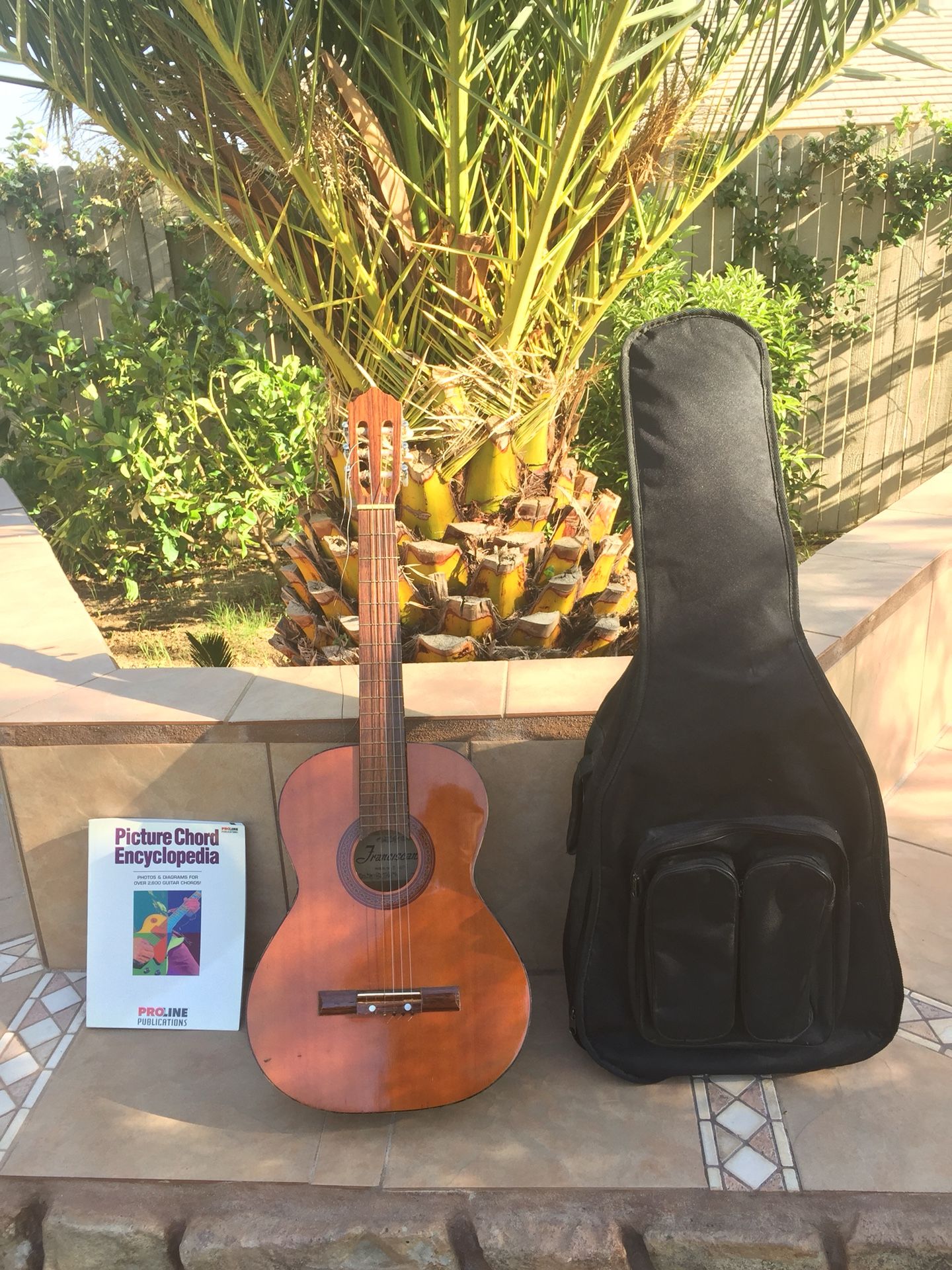 Vintage 1970’s Franciscan E460 model guitar