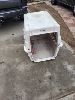 Casita Para Perro