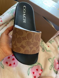 coach slides