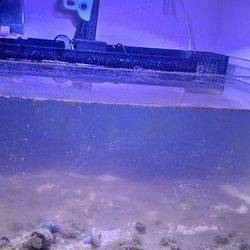 Innovative Marine 25 Lagoon Reef Tank Aio