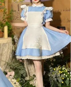 Alice In Wonderland Custume Medium