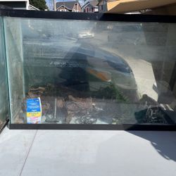 Fish tank Aquarium