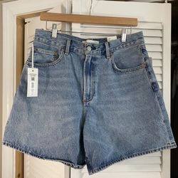 Aritzia Denim Shorts 