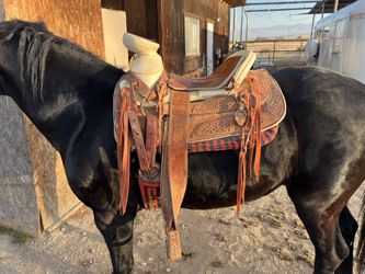 Montura / Charro Saddle