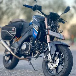 Z125 PRO
