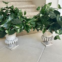 Set Of 2 Artificial Plants 