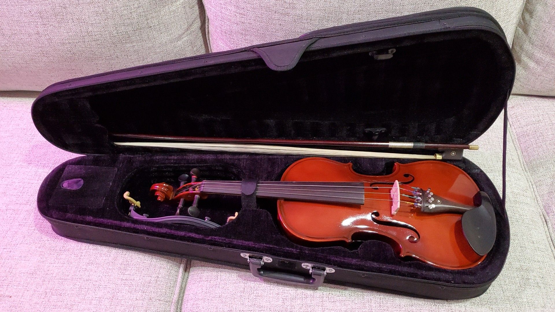 Violin