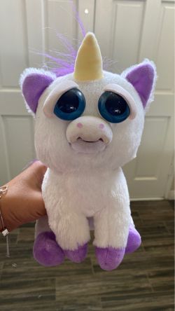 Fiesta pets