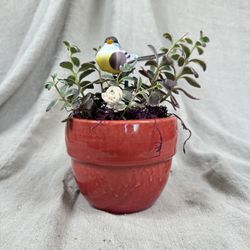 Small, Custom Live Floral 