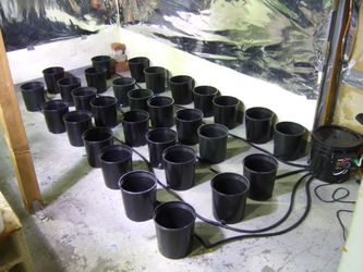 ebb & flow hydroponic system